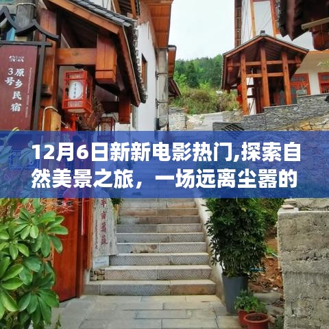 探索自然美景之旅，治愈电影之旅带你远离尘嚣，寻找内心的宁静与喜悦