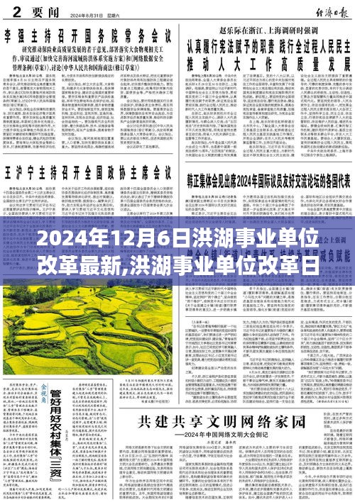 洪湖事业单位改革最新进展，春风中的温馨故事（2024年12月6日）