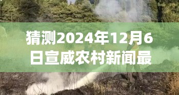 宣威乡村日常趣事与深厚友情纽带，预测中的温馨事件与最新动态（2024年12月6日）