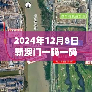 2024年12月8日新澳门一码一码100准确