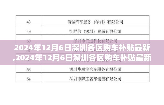 2024年12月深圳各区购车补贴政策详解与案例分享