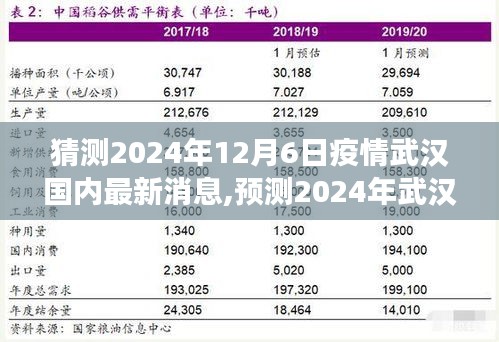 科学视角解读，2024年武汉疫情最新进展与预测分析，武汉国内最新消息揭秘