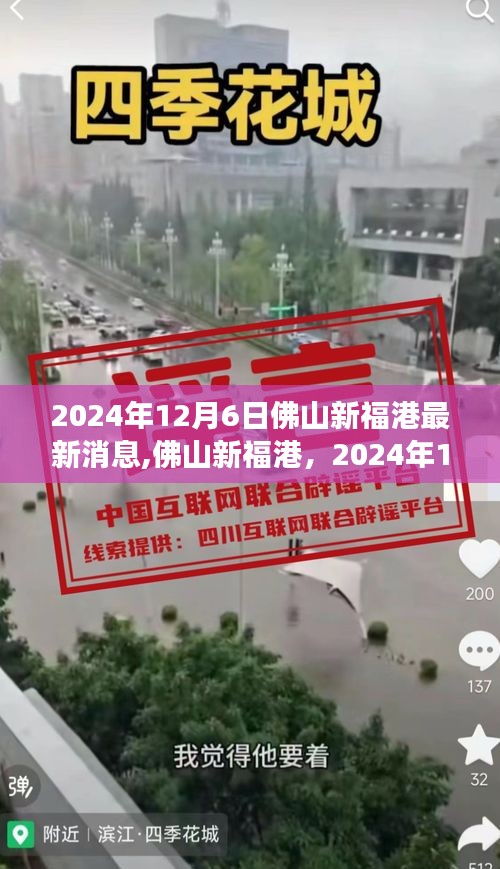 佛山新福港最新进展见证时代变迁，2024年12月6日最新消息