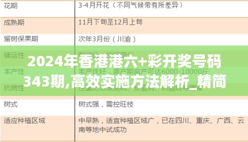 2024年香港港六+彩开奖号码343期,高效实施方法解析_精简版2.482