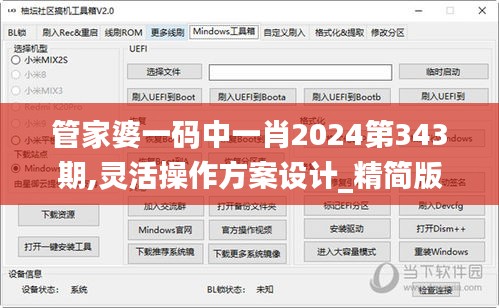 管家婆一码中一肖2024第343期,灵活操作方案设计_精简版9.735