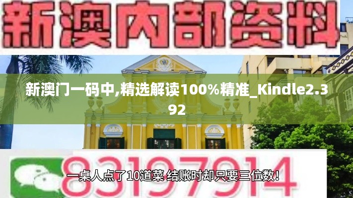 新澳门一码中,精选解读100%精准_Kindle2.392