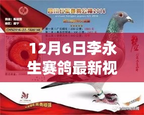 赛鸽风云，李永生与友情的温馨日常最新视频曝光（12月6日）