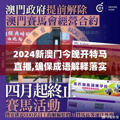 2024新澳门今晚开特马直播,确保成语解释落实_VE版6.648