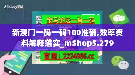 新澳门一码一码100准确,效率资料解释落实_mShop5.279