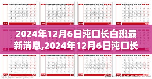 2024年12月6日沌口长白班最新消息，行业前沿动态与就业市场深度解析