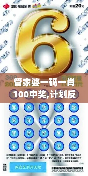 管家婆一码一肖100中奖,计划反馈执行_kit3.369