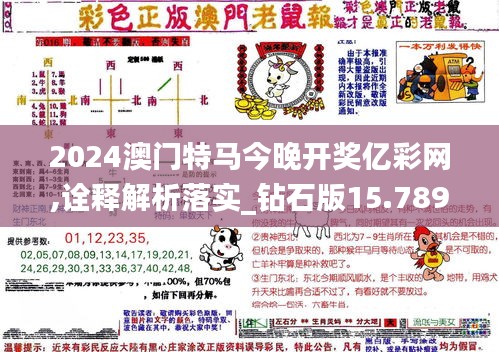 2024澳门特马今晚开奖亿彩网,诠释解析落实_钻石版15.789