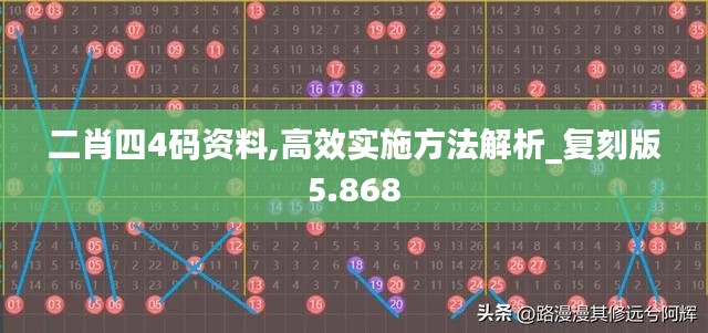 二肖四4码资料,高效实施方法解析_复刻版5.868