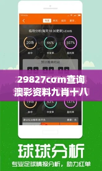 29827cσm查询澳彩资料九肖十八码,具体操作步骤指导_WearOS9.476