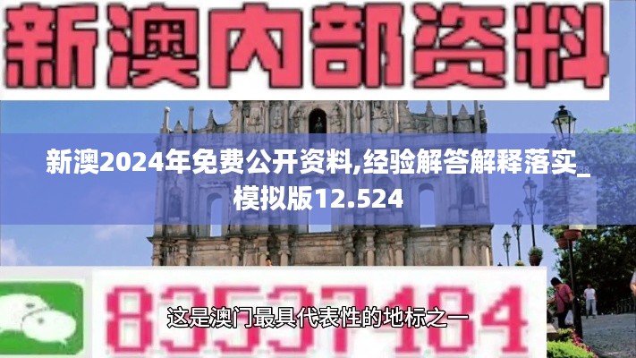 新澳2024年免费公开资料,经验解答解释落实_模拟版12.524