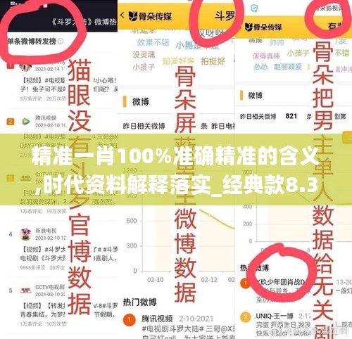 精准一肖100%准确精准的含义,时代资料解释落实_经典款8.355