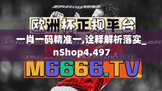 一肖一码精准一,诠释解析落实_nShop4.497