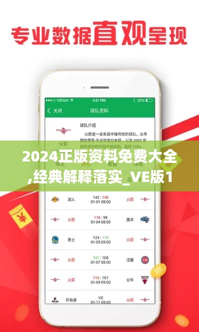 2024正版资料免费大全,经典解释落实_VE版10.703