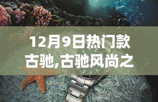 2024年12月9日 第53页