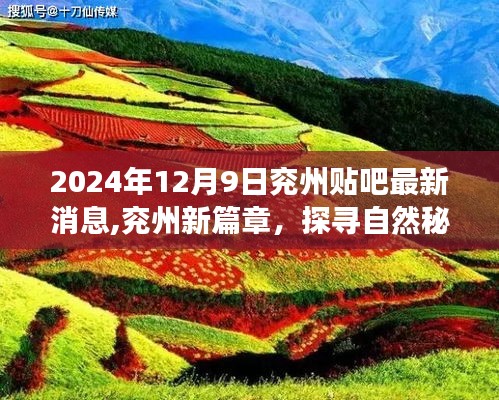 启程心灵之旅，探寻自然秘境，兖州新篇章——最新消息来自兖州贴吧