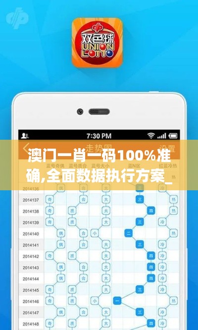 澳门一肖一码100%准确,全面数据执行方案_扩展版6.600