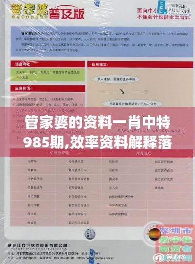 管家婆的资料一肖中特985期,效率资料解释落实_Executive4.780