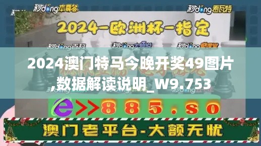 2024澳门特马今晚开奖49图片,数据解读说明_W9.753