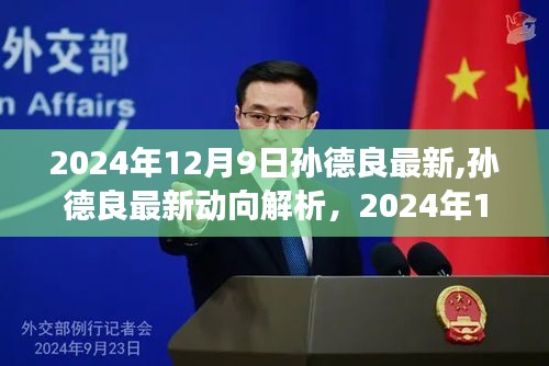 孙德良最新动向解析，2024年12月9日的观点洞察与最新动向报告