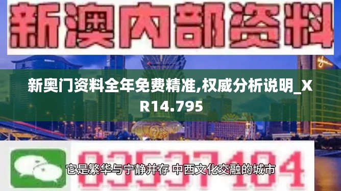 新奥门资料全年免费精准,权威分析说明_XR14.795