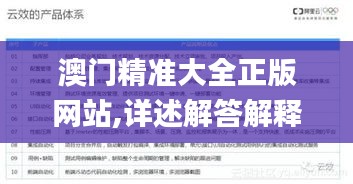 澳门精准大全正版网站,详述解答解释落实_交互版5.845