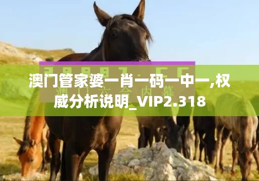 澳门管家婆一肖一码一中一,权威分析说明_VIP2.318