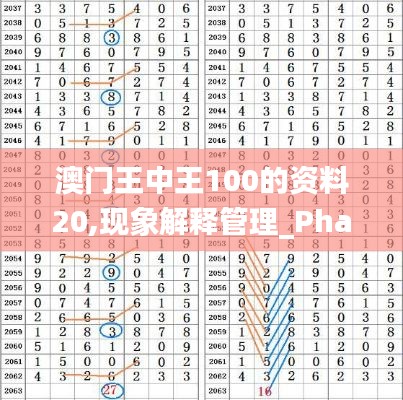 澳门王中王100的资料20,现象解释管理_Phablet5.259