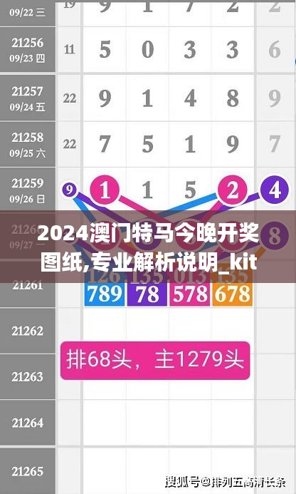 2024澳门特马今晚开奖图纸,专业解析说明_kit5.561