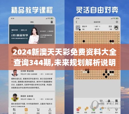 2024新澳天天彩免费资料大全查询344期,未来规划解析说明_Essential8.898