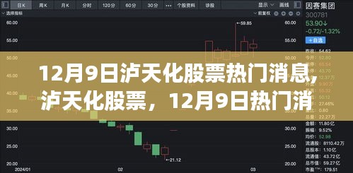 2024年12月9日 第3页