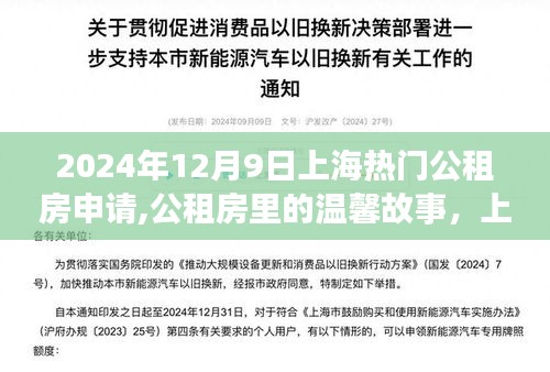 上海公租房申请热潮背后的温馨故事，冬日申请之旅，2024年12月9日纪实