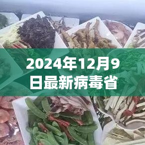 探讨最新病毒传播与防控策略，聚焦2024年病毒趋势分析在特定省份的挑战与应对