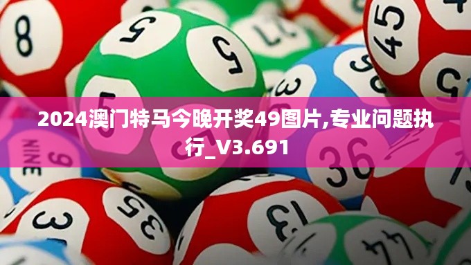 2024澳门特马今晚开奖49图片,专业问题执行_V3.691