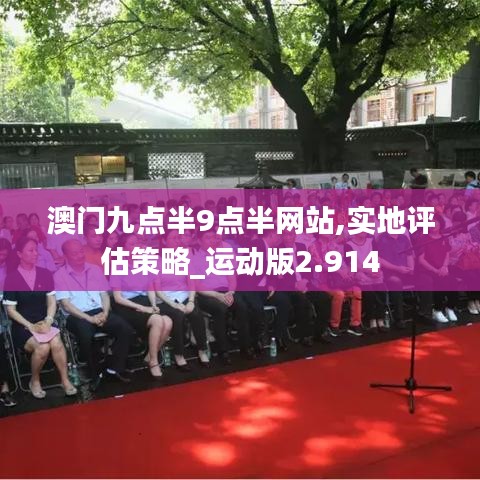 澳门九点半9点半网站,实地评估策略_运动版2.914