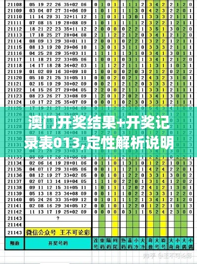 澳门开奖结果+开奖记录表013,定性解析说明_SE版10.165