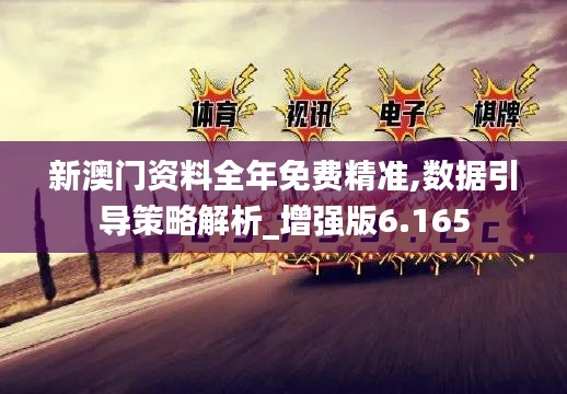 新澳门资料全年免费精准,数据引导策略解析_增强版6.165