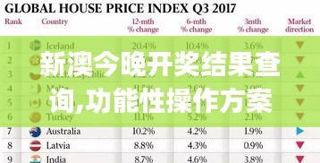 新澳今晚开奖结果查询,功能性操作方案制定_特别版3.949