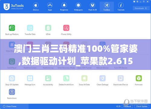 澳门三肖三码精准100%管家婆,数据驱动计划_苹果款2.615