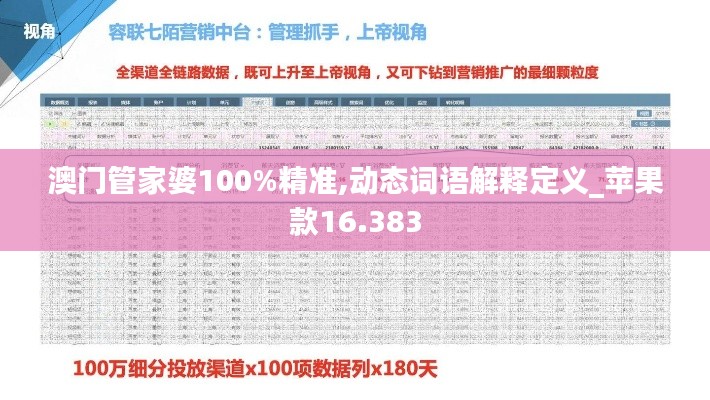 澳门管家婆100%精准,动态词语解释定义_苹果款16.383