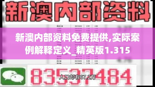 新澳内部资料免费提供,实际案例解释定义_精英版1.315