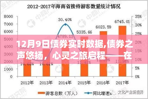 12月9日债券实时数据,债券之声悠扬，心灵之旅启程——在12月9日的债券市场中寻找与自然美景的不解之缘