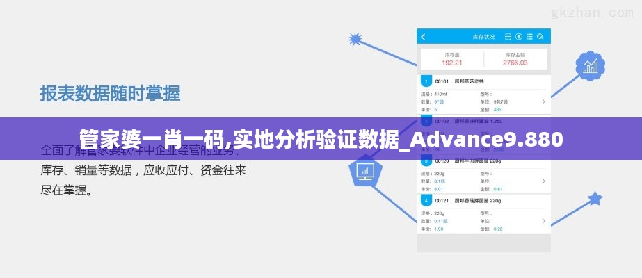 管家婆一肖一码,实地分析验证数据_Advance9.880