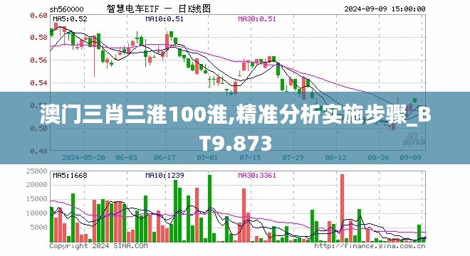 澳门三肖三淮100淮,精准分析实施步骤_BT9.873