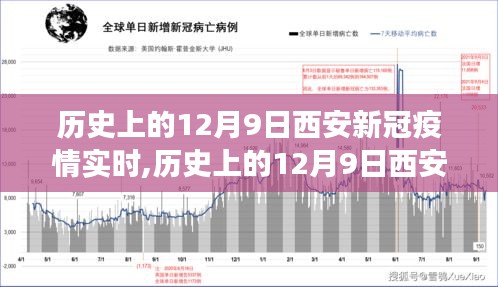 2024年12月10日 第69页