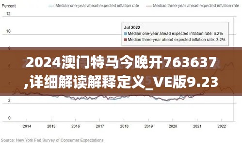 2024澳门特马今晚开763637,详细解读解释定义_VE版9.231